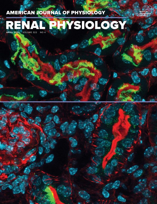 Hepatic and proximal tubule angiotensinogen play distinct roles in kidney dysfunction, glomerular and tubular injury and fibrosis progression
