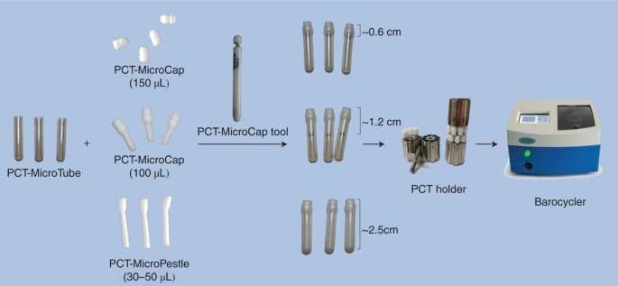 High-throughput proteomic sample preparation using pressure cycling technology