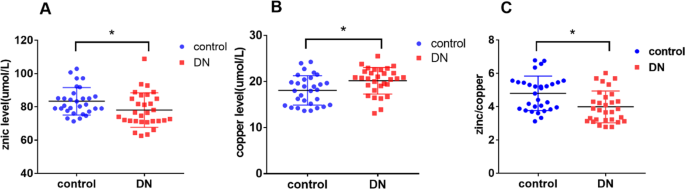 Influence of zinc levels and Nrf2 expression in the clinical and pathological changes in patients with diabetic nephropathy