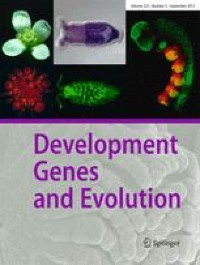 Evolution and development of male-specific leg brushes in Drosophilidae