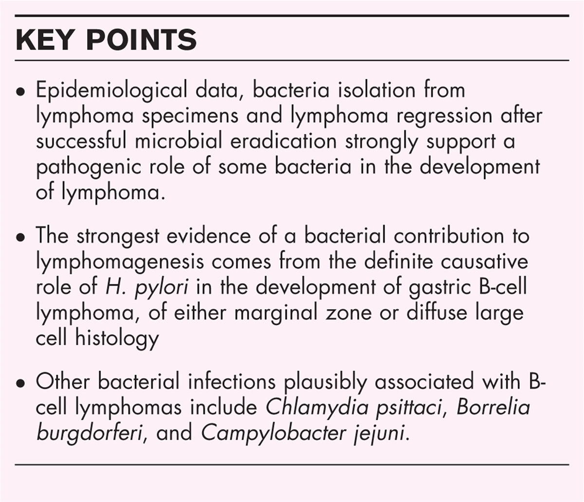 Bacterial infection-driven lymphomagenesis