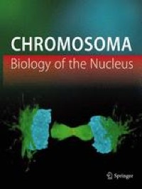 Time to match; when do homologous chromosomes become closer?