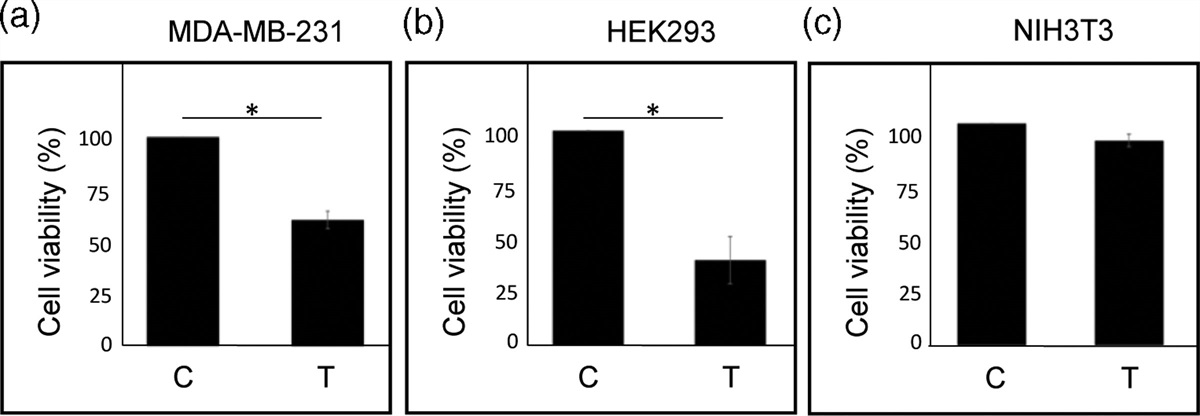 Reactive oxygen species–dependent upregulation of death receptor, tumor necrosis factor receptor 1, is responsible for theophylline-mediated cytotoxicity in MDA-MB-231 breast cancer cells