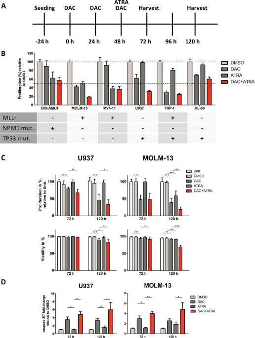 The antileukemic activity of decitabine upon PML/RARA-negative AML blasts is supported by all-trans retinoic acid: in vitro and in vivo evidence for cooperation