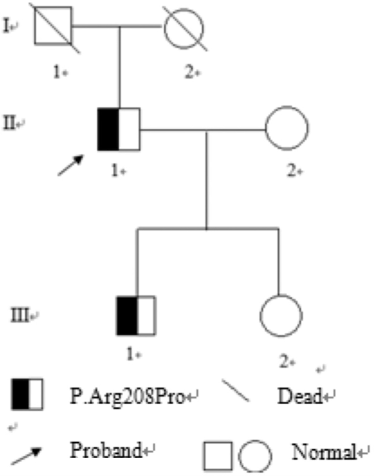 A novel F13A1 gene mutation (Arg208Pro) in a Chinese patient with factor XIII deficiency