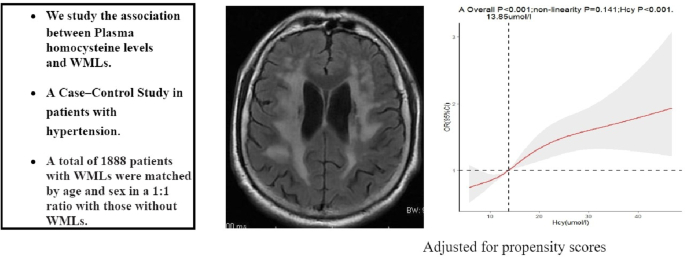 Dose–response association between plasma homocysteine and white matter lesions in patients with hypertension: a case–control study
