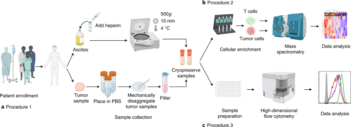 Principles of reproducible metabolite profiling of enriched lymphocytes in tumors and ascites from human ovarian cancer