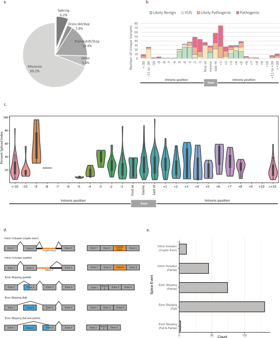 Mutational and splicing landscape in a cohort of 43,000 patients tested for hereditary cancer