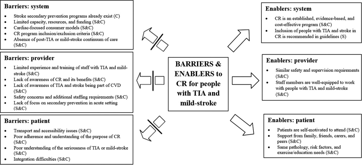 Perspectives of Stroke and Cardiac Clinicians on Cardiac Rehabilitation Post-TIA or Mild Stroke