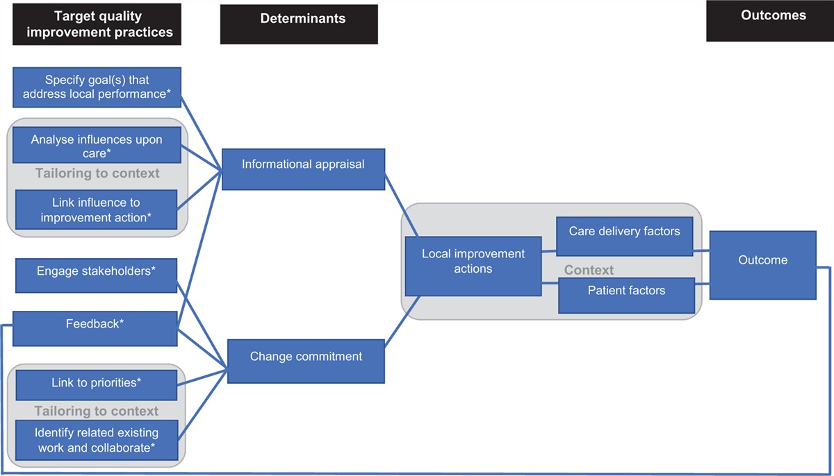 A commentary on the quality improvement practices in leading an organizational response to audit feedback