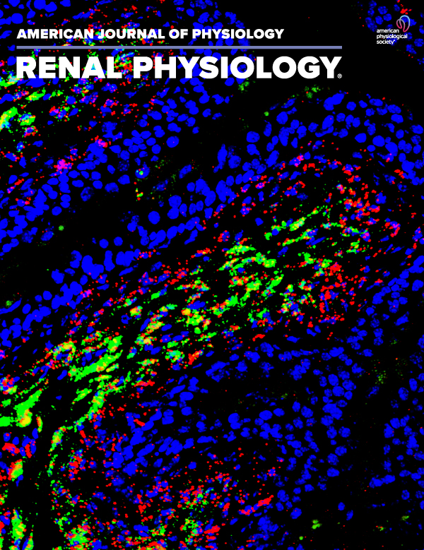 Exogenous pericyte delivery protects the mouse kidney from chronic ischemic injury