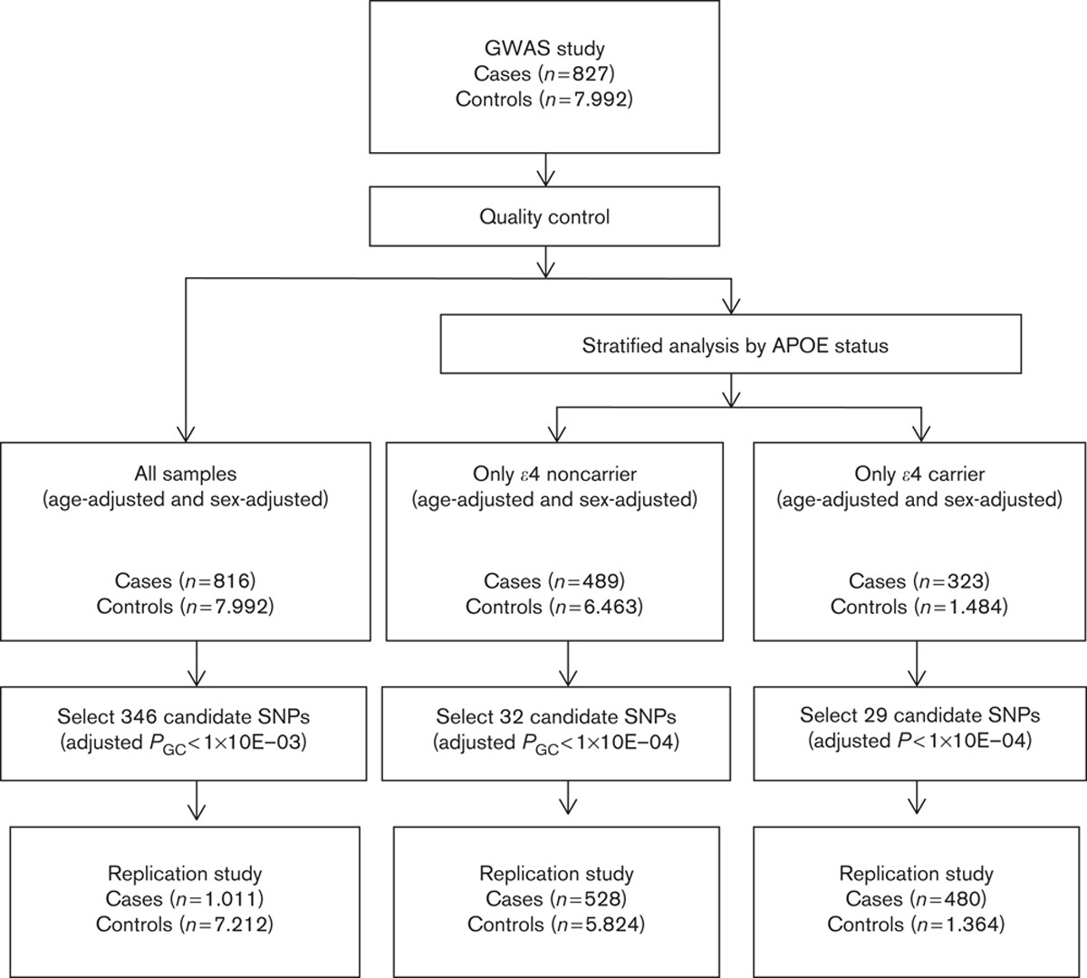 A genome-wide association study of late-onset Alzheimer’s disease in a Japanese population
