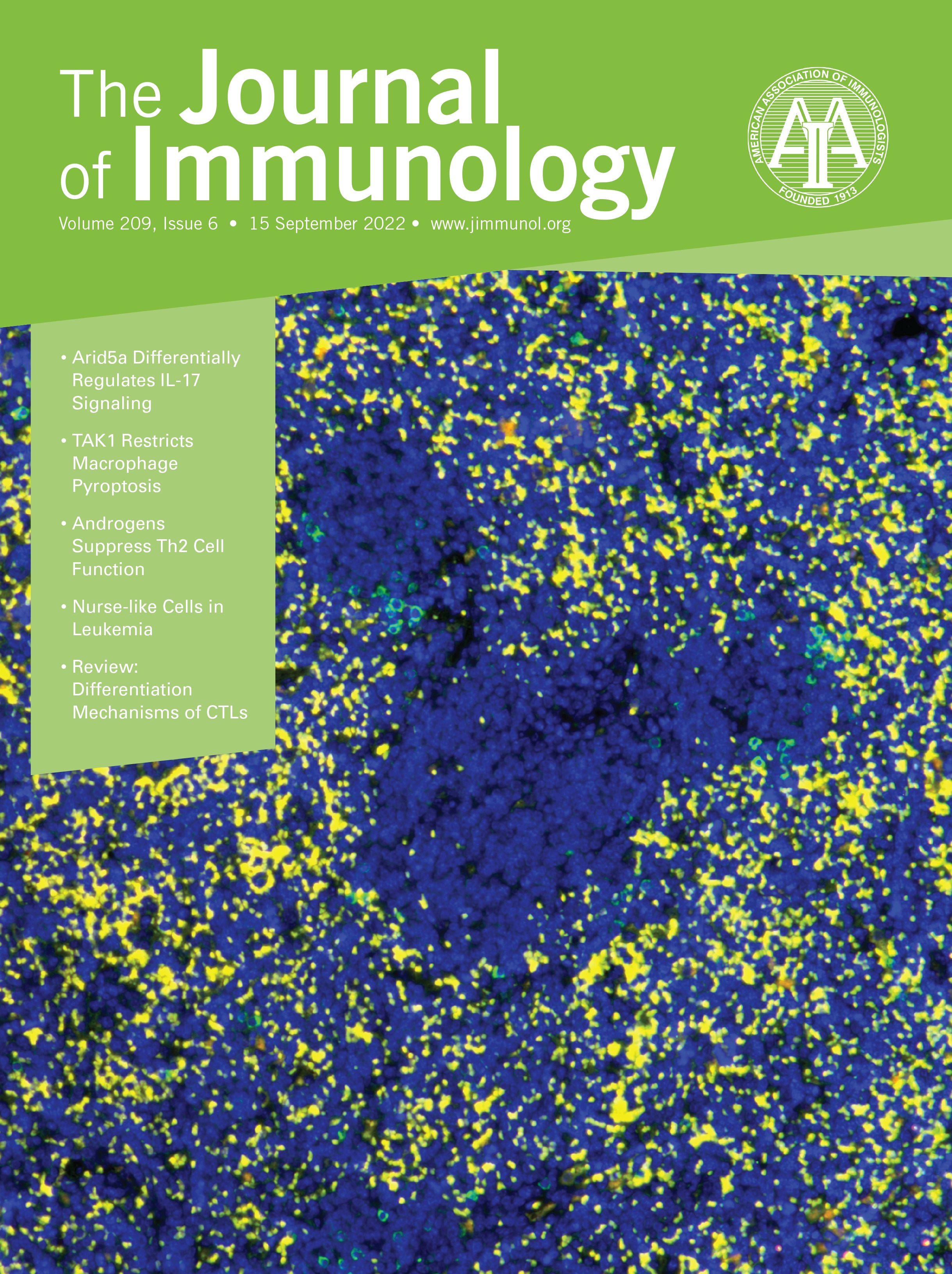 CD5 Suppresses IL-15-Induced Proliferation of Human Memory CD8+ T Cells by Inhibiting mTOR Pathways [IMMUNE REGULATION]