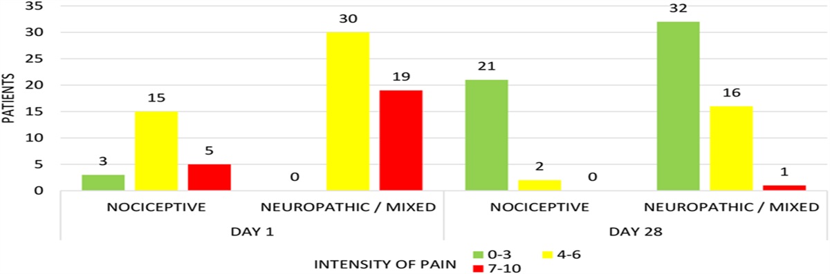 Comprehensive Targeted Treatment for Neuropathic and Nociceptive Pain in Palliative Care Patients
