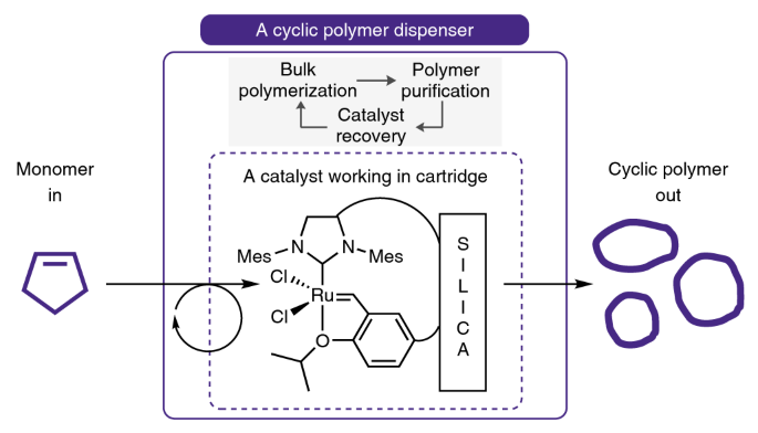 Scalable and continuous access to pure cyclic polymers enabled by ‘quarantined’ heterogeneous catalysts
