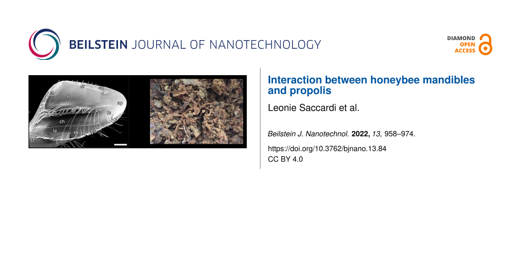 Interaction between honeybee mandibles and propolis