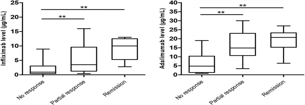 Correlation Between Ultrasonographic Response and Anti–Tumor Necrosis Factor Drug Levels in Crohn's disease