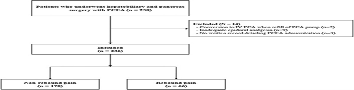 Factors Associated With Rebound Pain After Patient-controlled Epidural Analgesia in Patients Undergoing Major Abdominal Surgery: A Retrospective Study