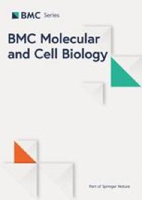 Mesenchymal stem cells- derived exosomes inhibit the expression of Aquaporin-5 and EGFR in HCT-116 human colorectal carcinoma cell line