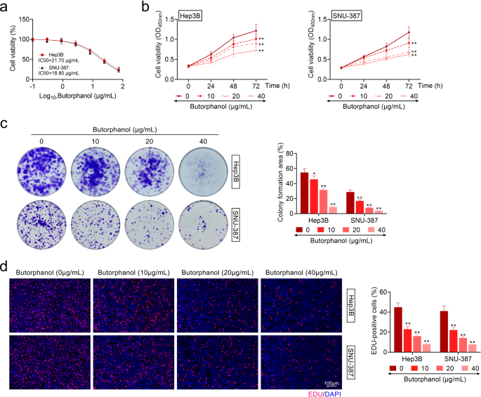 Butorphanol inhibits angiogenesis and migration of hepatocellular carcinoma and regulates MAPK pathway