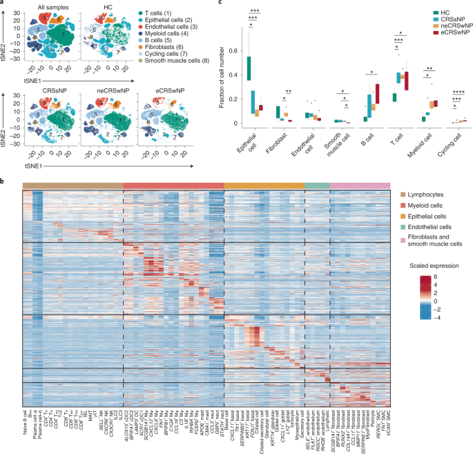 Single-cell profiling identifies mechanisms of inflammatory heterogeneity in chronic rhinosinusitis
