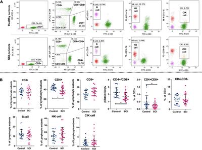 Relationship between gut microbiota and lymphocyte subsets in Chinese Han patients with spinal cord injury