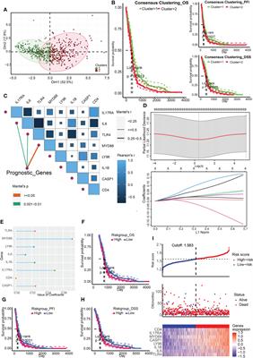Immunogenic cell death related risk model to delineate ferroptosis pathway and predict immunotherapy response of patients with GBM
