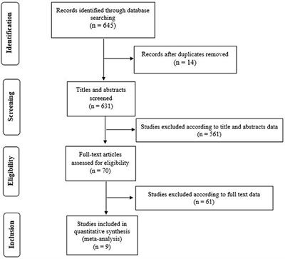Walking speed at the acute and subacute stroke stage: A descriptive meta-analysis