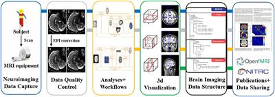 Project, toolkit, and database of neuroinformatics ecosystem: A summary of previous studies on “Frontiers in Neuroinformatics”