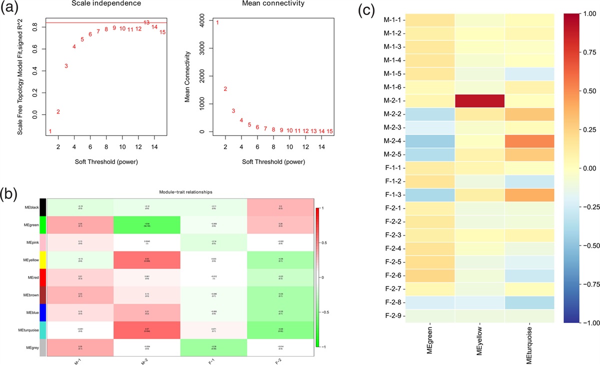 In-depth investigations of the molecular basis underlying sex differences among middle-aged and elderly schizophrenia populations