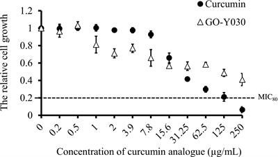 Curcumin affects function of Hsp90 and drug efflux pump of Candida albicans