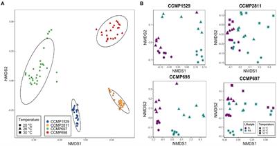 The microbiome of the dinoflagellate Prorocentrum cordatum in laboratory culture and its changes at higher temperatures