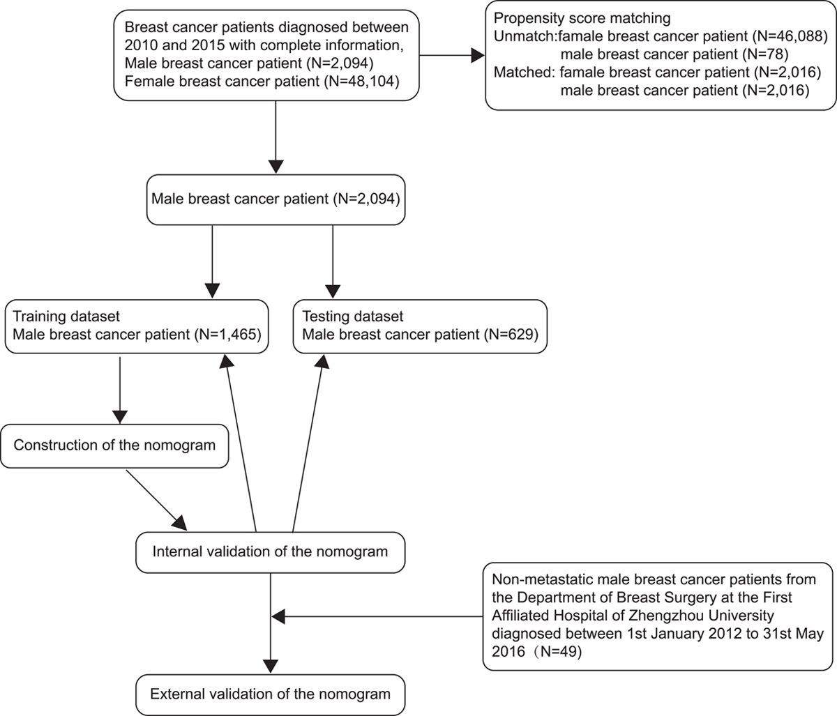 A Novel Nomogram for Predicting Breast Cancer–specific Survival in Male Patients