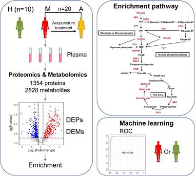 Proteomic and metabolomic profiling of acupuncture for migraine reveals a correlative link via energy metabolism