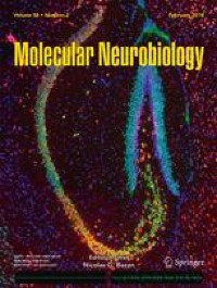 Neuropilin-2 Signaling Modulates Mossy Fiber Sprouting by Regulating Axon Collateral Formation Through CRMP2 in a Rat Model of Epilepsy