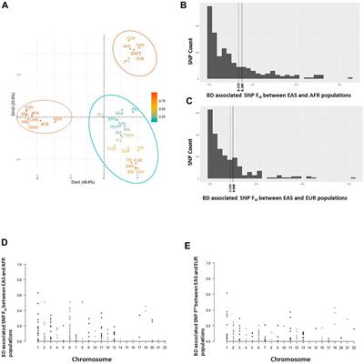 Diverse selection pressures shaping the genetic architecture of behçet disease susceptibility