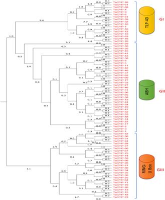Genome-wide characterization and identification of cyclophilin genes associated with leaf rust resistance in bread wheat (Triticum aestivum L.)
