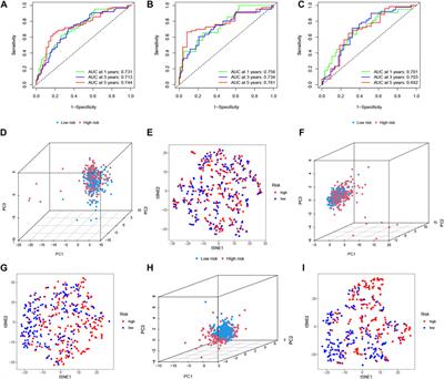 Identification of N6-methylandenosine related lncRNA signatures for predicting the prognosis and therapy response in colorectal cancer patients