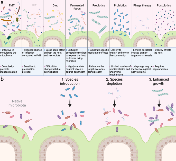 Microbiome-based interventions to modulate gut ecology and the immune system