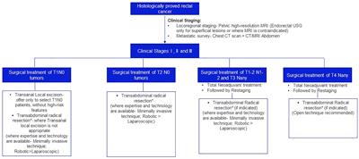 Clinical Robotic Surgery Association (India Chapter) and Indian rectal cancer expert group’s practical consensus statements for surgical management of localized and locally advanced rectal cancer