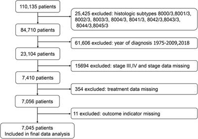 Surgery offers survival advantage over radiotherapy in patients who are 80 years and older with Stage I and II NSCLC: A retrospective cohort study of 7,045 patients