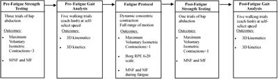 The effect of hip abductor fatigue on knee kinematics and kinetics during normal gait