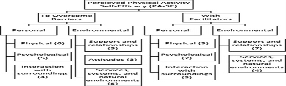 Enhancing the Content Validity of Self-Reported Physical Activity Self-Efficacy in Adolescents: A Qualitative Study