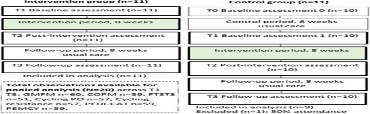 Maintenance of Functional Gains Following a Goal-Directed and FES-Assisted Cycling Program for Children With Cerebral Palsy