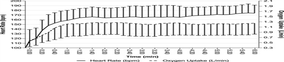 Physiological Response to the 6-Minute Frame Running Test in Children and Adults With Cerebral Palsy