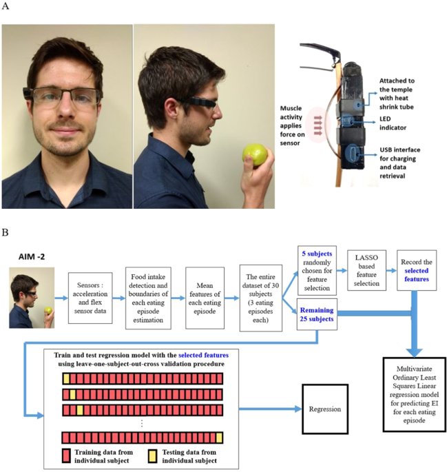 Energy intake estimation using a novel wearable sensor and food images in a laboratory (pseudo-free-living) meal setting: quantification and contribution of sources of error