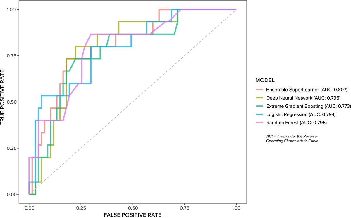 Explainable Artificial Intelligence for Predicting Hospital-Acquired Pressure Injuries in COVID-19–Positive Critical Care Patients