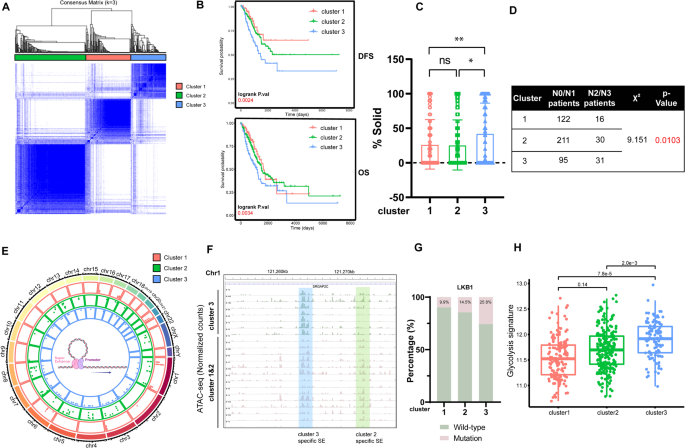 Non-genetic stratification reveals epigenetic heterogeneity and identifies vulnerabilities of glycolysis addiction in lung adenocarcinoma subtype