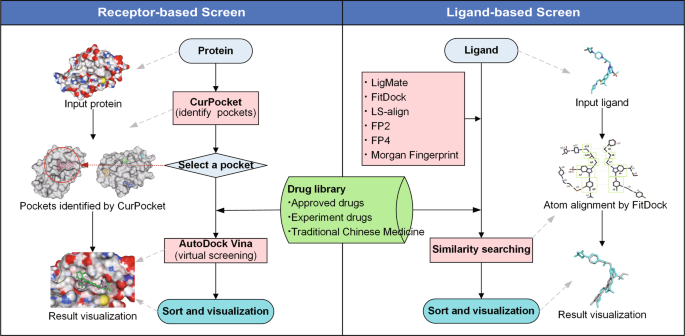 DrugRep: an automatic virtual screening server for drug repurposing