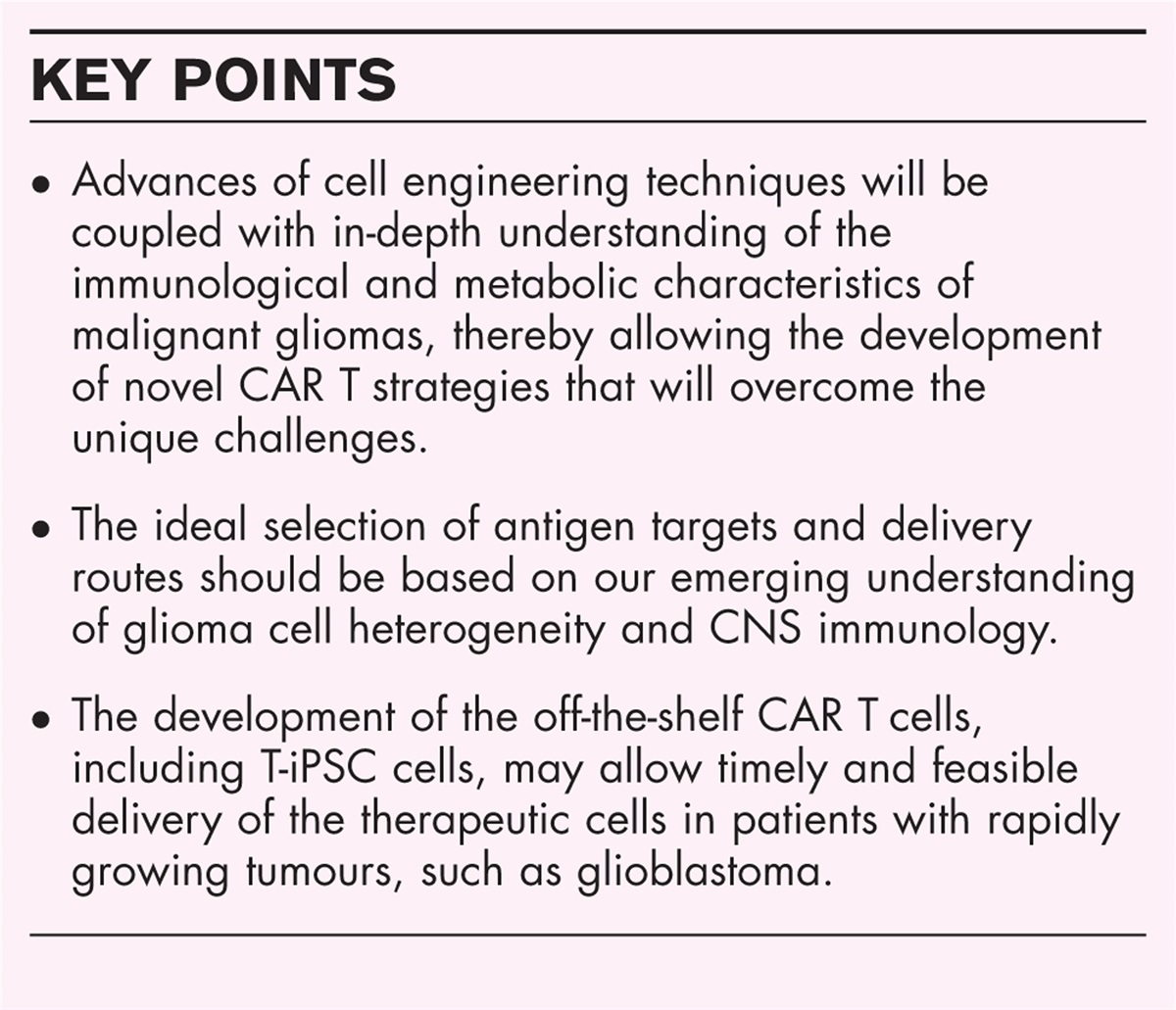 Future development of chimeric antigen receptor T cell therapies for patients suffering from malignant glioma